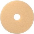 Americo Global Industrial„¢ 17" Carpet Pad, Beige, 5 Per Case 403717